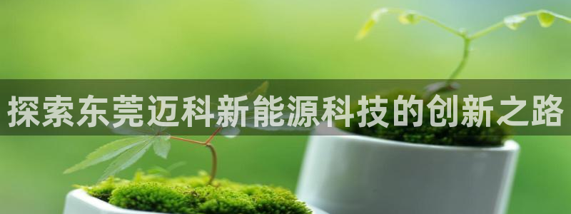 申博官网手机版下载app