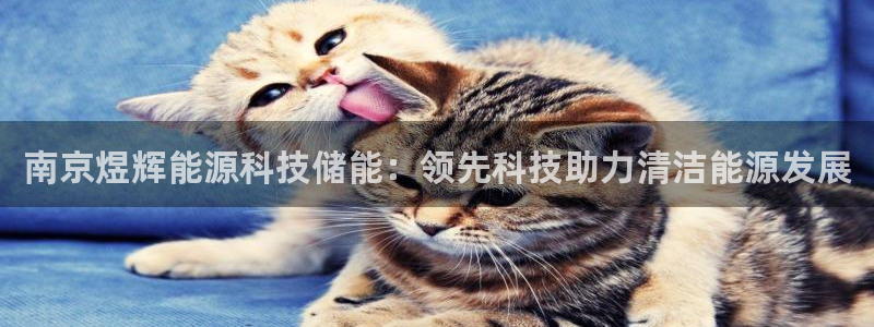 进入sunbet官网手机版登陆