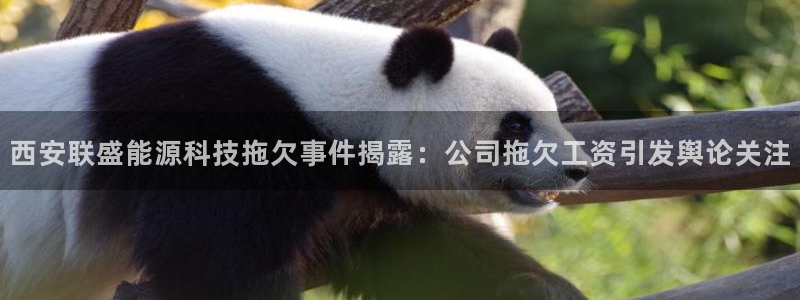 申博官方网站手机版下载