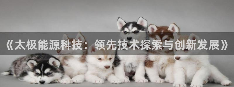 进入sunbet官网手机版登陆