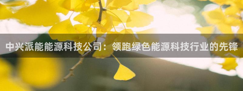 sunbet游戏网