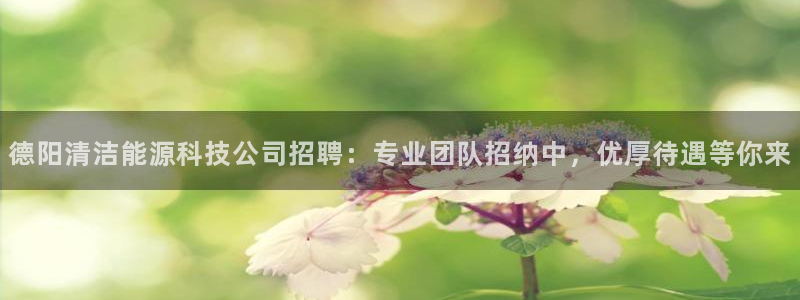 sunbet官网开户登录手机版