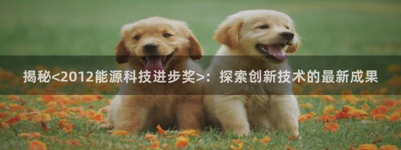 sunbet手机网页版本
