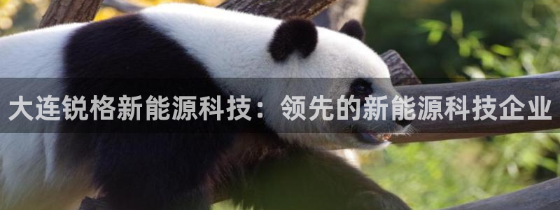 sunbet靠谱吗