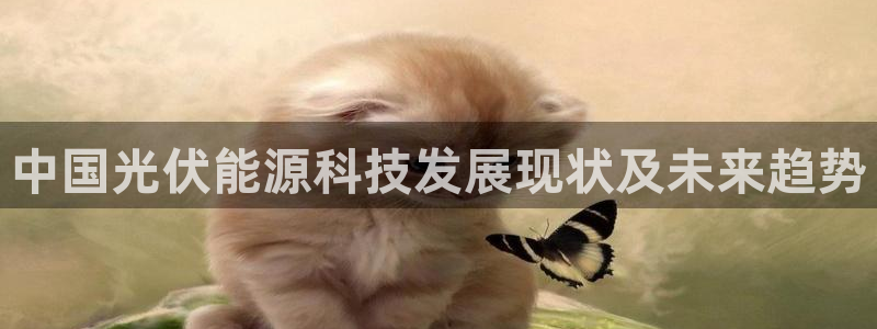 sunbet最新消息
