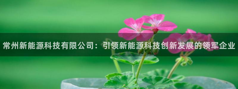 sunbet首页登录入口