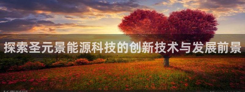 sunbet官网代理下载