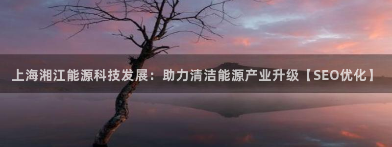 sunbet最新消息