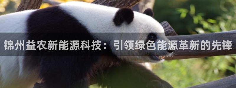 sunbet游戏网