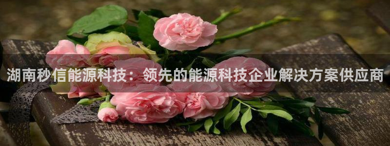 sunbet安卓下载