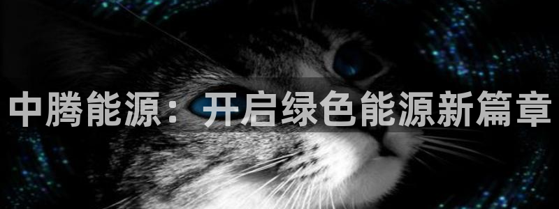 sunbet申搏官网