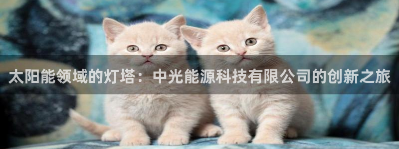 sunbet燃气灶