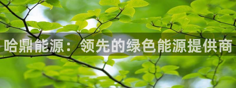 sunbet中文