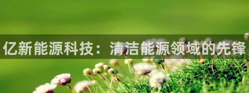 sunbet英语翻译