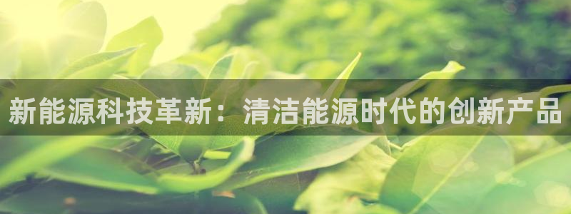 sunbet英语翻译