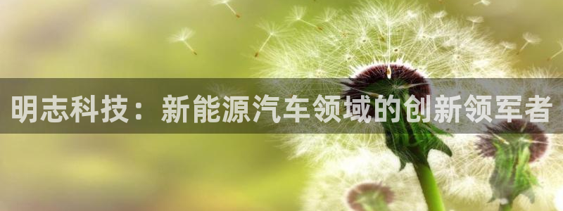 申博手机网站