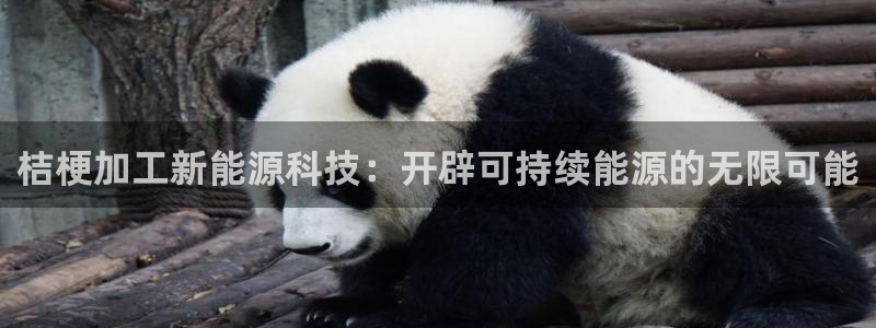 申慱sunbet版app
