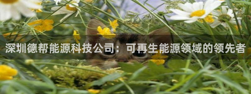 sunbet首页登录入口