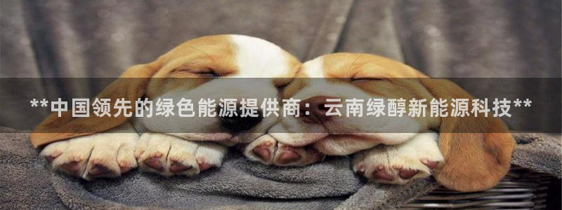 sunbet苹果app