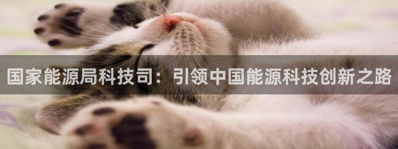sunbet申搏平台