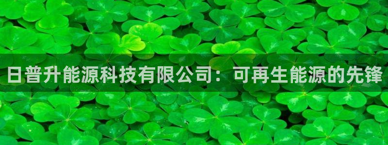sunbet安卓下载