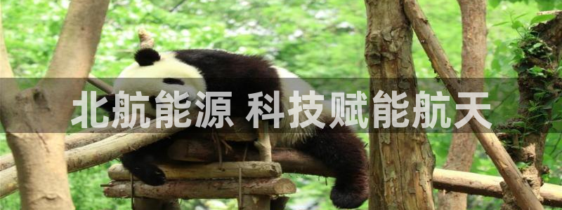 sunbet中国官网