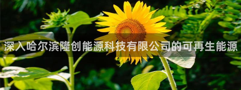 sunbet官网手机版登录