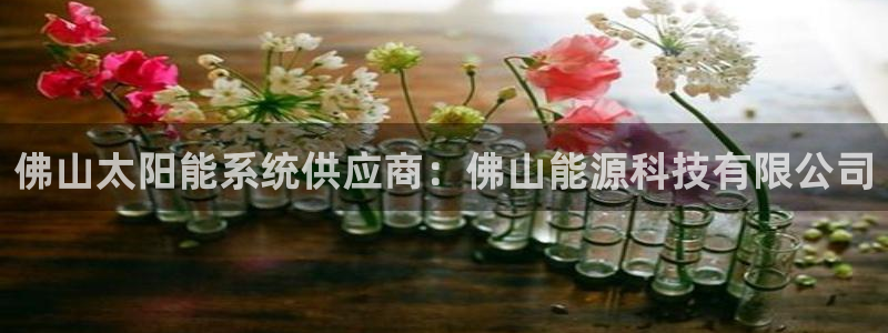 sunbet申搏地址