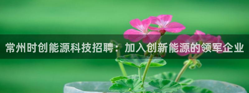 sunbet安卓下载