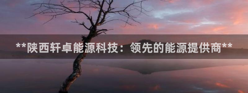 申博官网电脑版下载