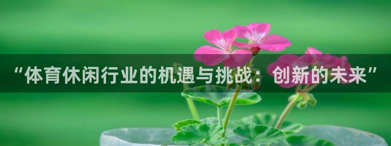球速体育