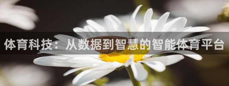 球速体育