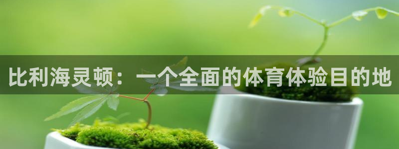 球速体育