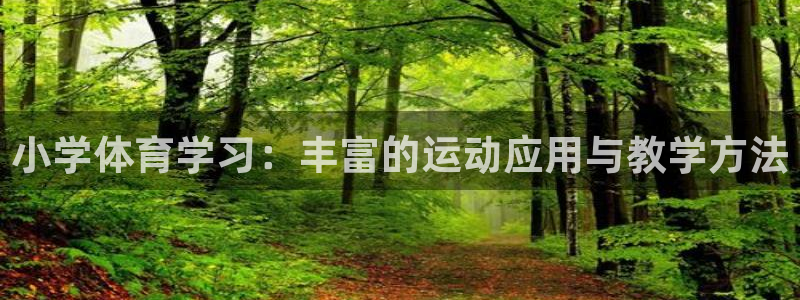 球速体育
