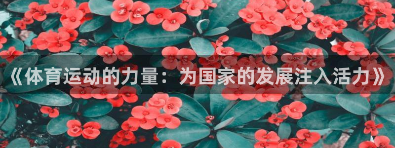 球速体育