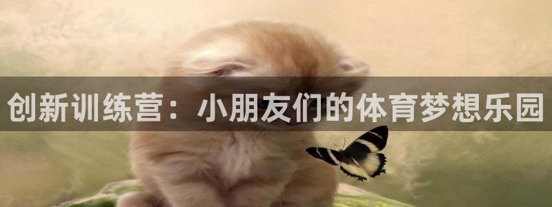 球速体育