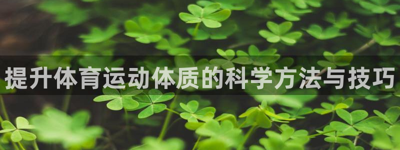 球速体育