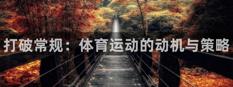 球速体育