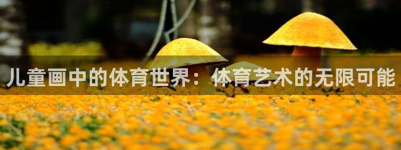 球速体育