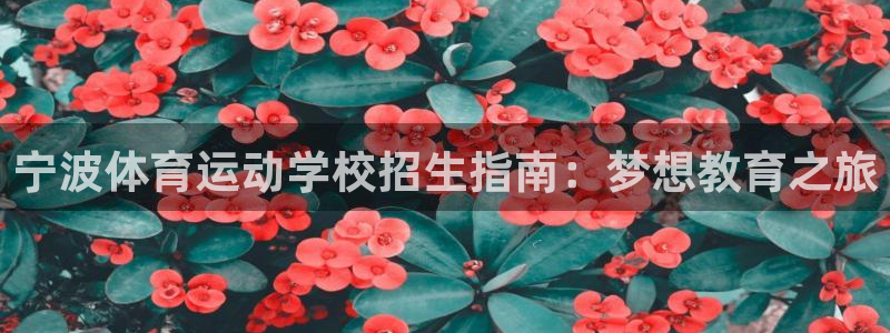 球速体育
