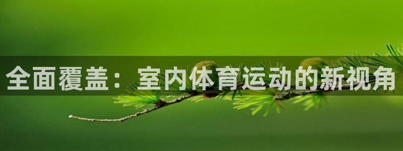 球速体育