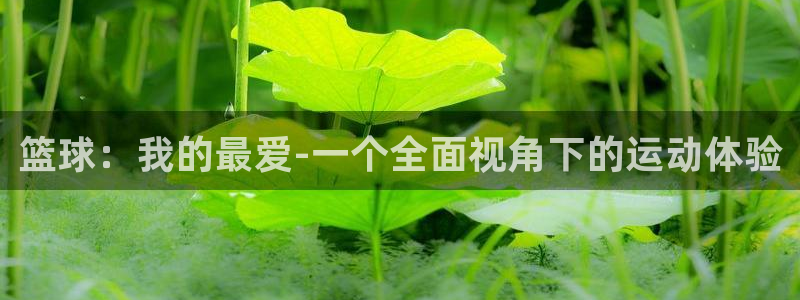 球速体育