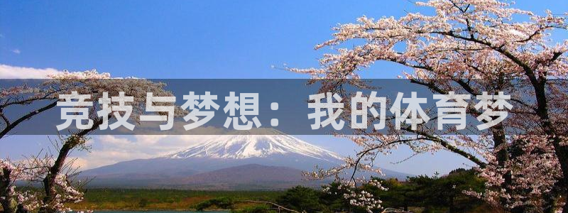 球速体育