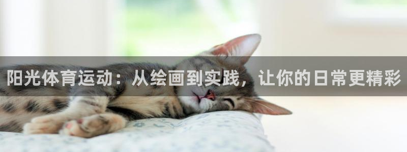 球速体育