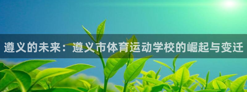 球速体育