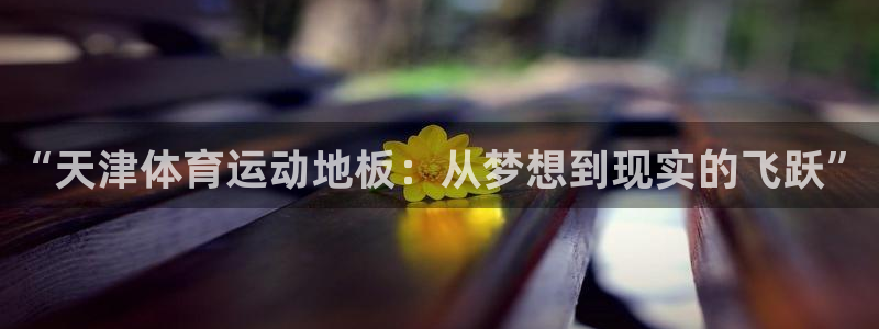 球速体育