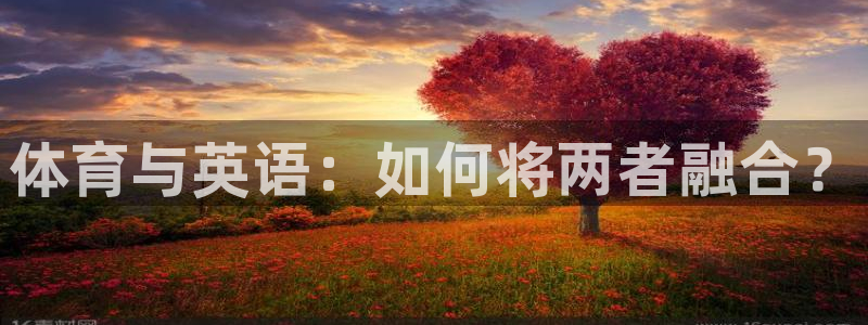 球速体育
